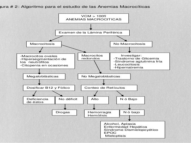 interpretacion del hemograma